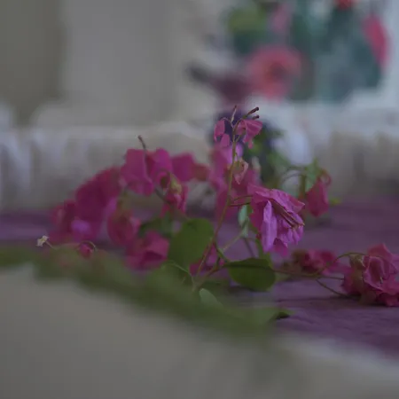 Kemerlihan Deluxe Hotel 2*