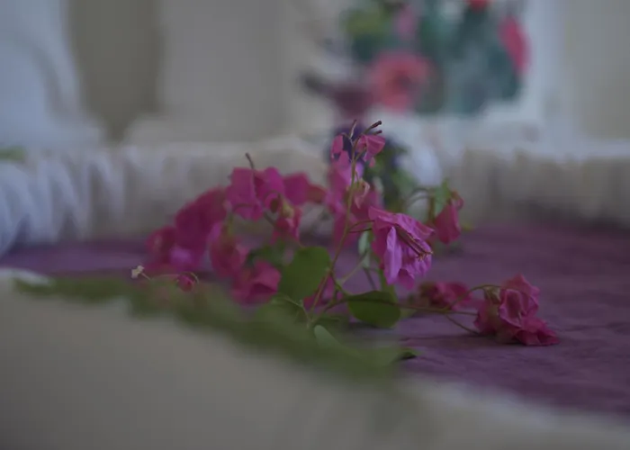 Kemerlihan Deluxe Hotel 2*